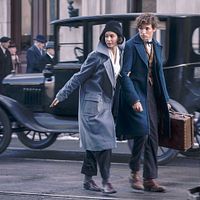 Animales fantásticos y dónde encontrarlos : Foto Eddie Redmayne, Katherine Waterston