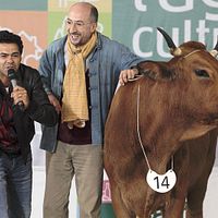 La vaca : Foto Fatsah Bouyahmed, Jamel Debbouze