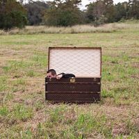 Oldboy : Foto Josh Brolin