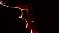 <strong>Lunas de hiel</strong> Tráiler (2) VO