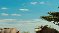 <strong>Animals United en 3D</strong> Teaser