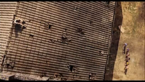 <strong>Los Cocodrilos</strong> Tráiler