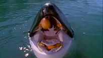 <strong>Liberad a Willy 3: El rescate</strong> Tráiler VO