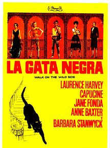 La gata negra