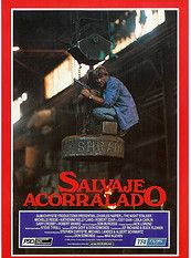 Salvaje acorralado