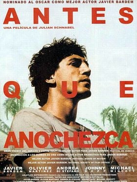Antes que anochezca