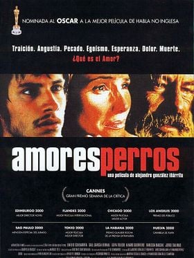 Amores perros