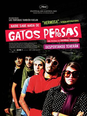 Nadie sabe nada de gatos persas
