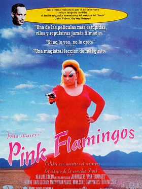 Pink Flamingos