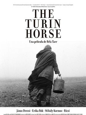 The Turin horse