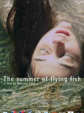 El Verano de los Peces Voladores