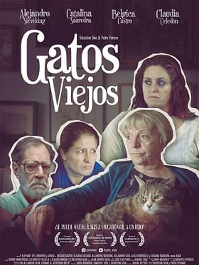 Gatos Viejos