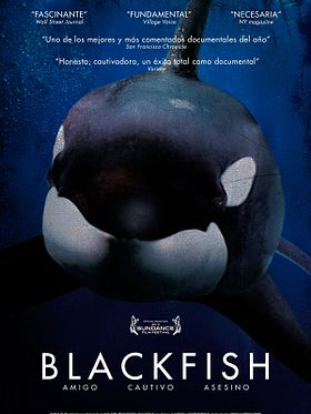 Blackfish