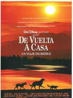 De vuelta a casa. Un viaje increíble