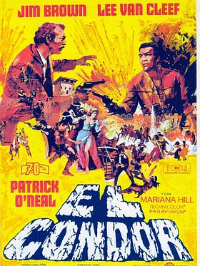 El cóndor