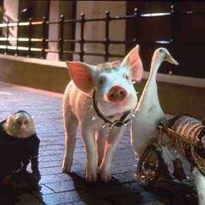 Babe el cerdito en la ciudad Película 1998 SensaCine