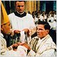 El cardenal : foto