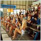 Van Wilder - Animal Party : foto