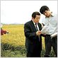 Memories of murder (Crónica de un asesino en serie) : foto
