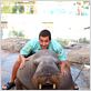 50 Primeras Citas : foto Adam Sandler