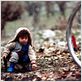 Las tortugas también vuelan : foto Bahman Ghobadi