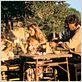 Un hombre enamorado : foto Diane Kurys, Greta Scacchi
