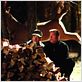 Kiss Kiss Bang Bang : foto Robert Downey Jr., Shane Black, Val Kilmer