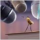 Bee Movie : foto Simon J. Smith, Steve Hickner