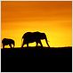 Tierra : foto Alastair Fothergill