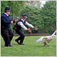 Arma fatal : foto Edgar Wright