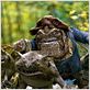 Las crónicas de Spiderwick : foto Mark Waters