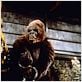 King Kong 2 : foto John Guillermin