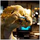 Como perros y gatos: La revancha de Kitty Galore : foto Brad Peyton, Kevin Lima
