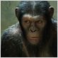 El origen del planeta de los simios : foto Rupert Wyatt