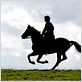 War Horse (Caballo de batalla) : foto Jeremy Irvine, Steven Spielberg