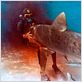 El cazador de tiburones : foto Enzo G. Castellari