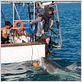 Marea letal : foto John Stockwell
