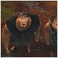 Los Croods: Una aventura prehistórica : foto