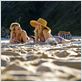 Two Mothers : Foto Naomi Watts, Robin Wright (V)