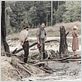 As I Lay Dying : Foto Ahna O'Reilly, James Franco, Jim Parrack, Logan Marshall-Green, Tim Blake Nelson