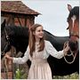 War Horse (Caballo de batalla)