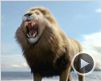 Las Crónicas de Narnia: La travesía del viajero del Alba Tráiler Las Crónicas de Narnia: La travesía del viajero del Alba Tráiler