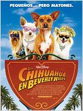 Un chihuahua en Beverly Hills