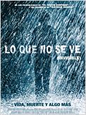 Lo que no se ve (Invisible)