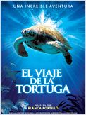El viaje de la tortuga