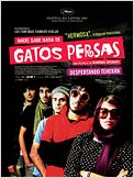 Nadie sabe nada de gatos persas