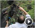 Entre lobos Clip