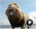 Las Crónicas de Narnia: La travesía del viajero del Alba Tráiler