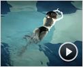 Film Socialisme Clip VO