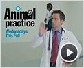 Animal Practice Tráiler VO